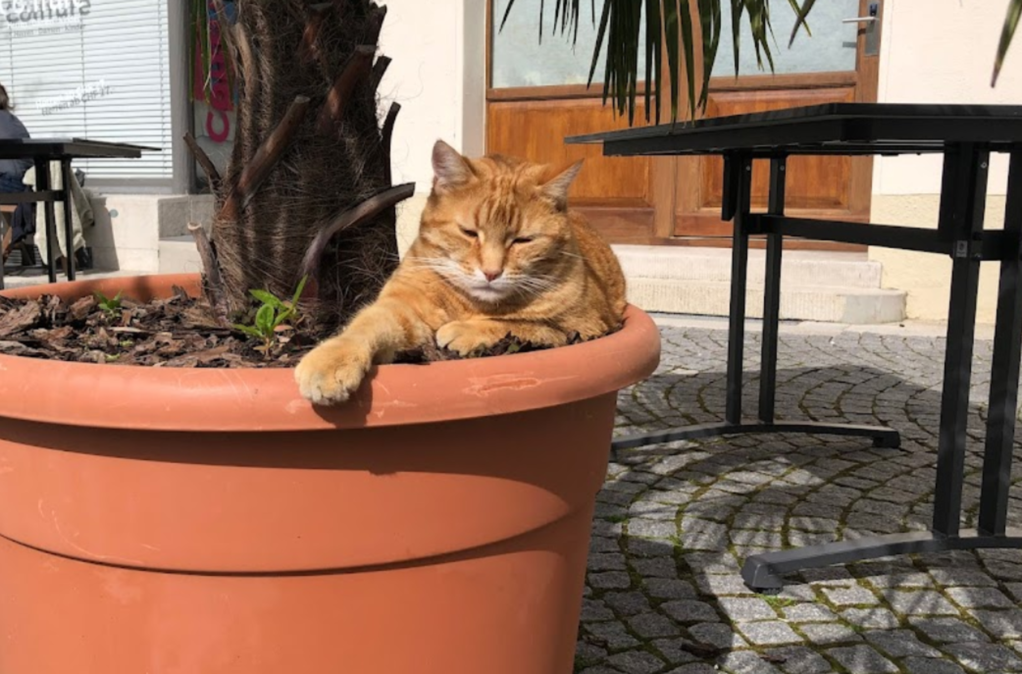 Company featured image